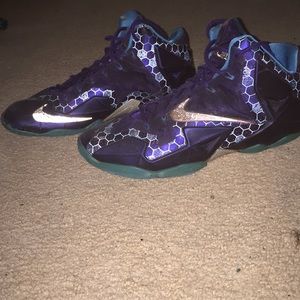 Nike Lebrons